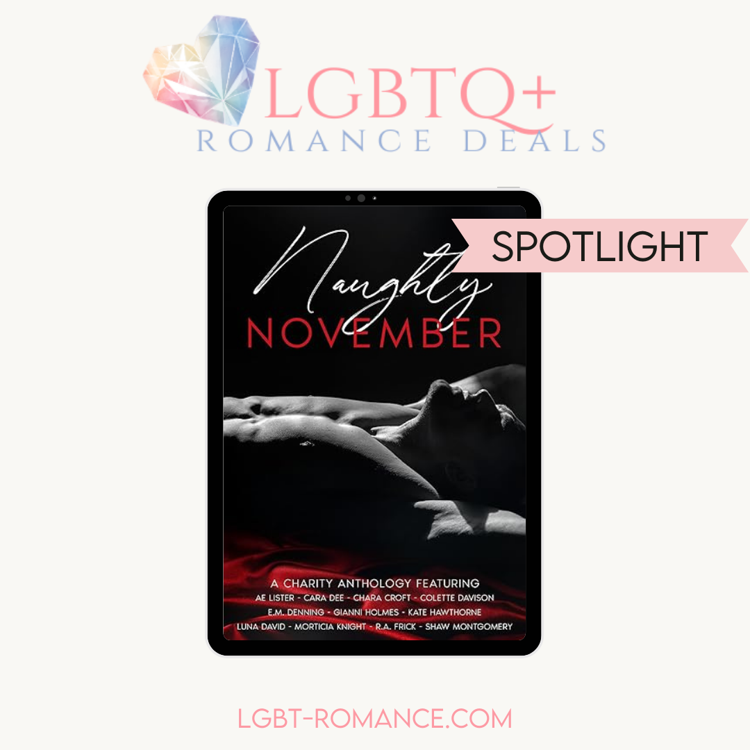 LGBT Romance Deals 11/12